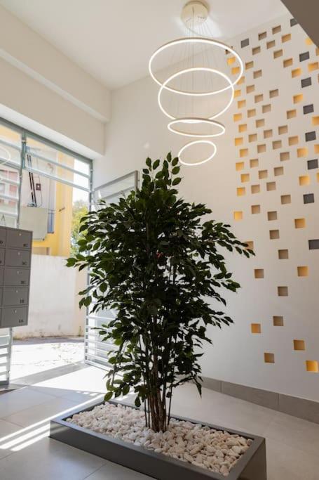Superb Central Lisbon Apartment 外观 照片